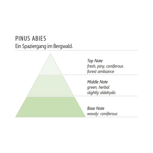 Duftpyramide Pinus Abies
