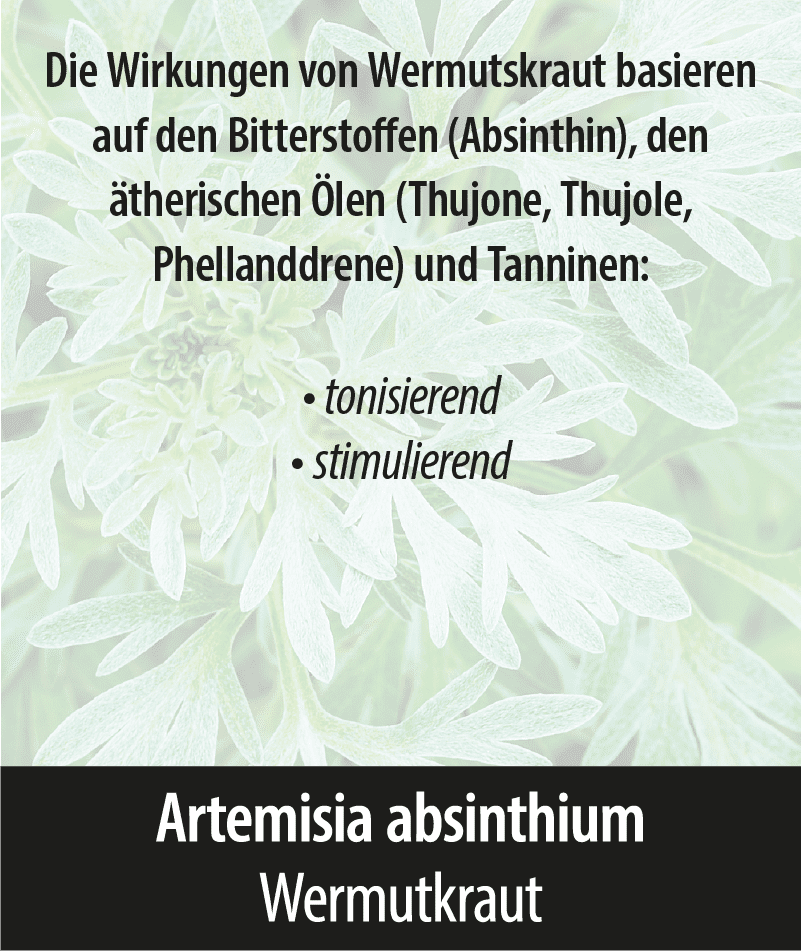 Artemisia Absinthum