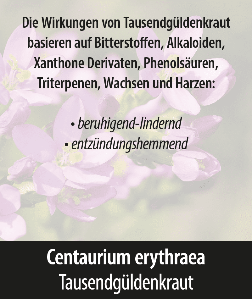 Centaurium Erythraea